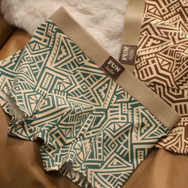 CIRANO — Trunk Briefs