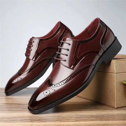 Aurello - Leather Brogue Oxfords