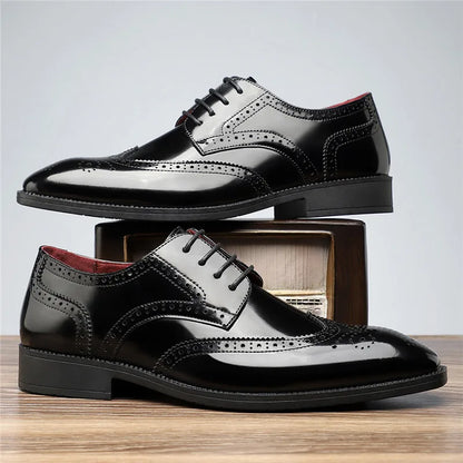 Aurello - Leather Brogue Oxfords