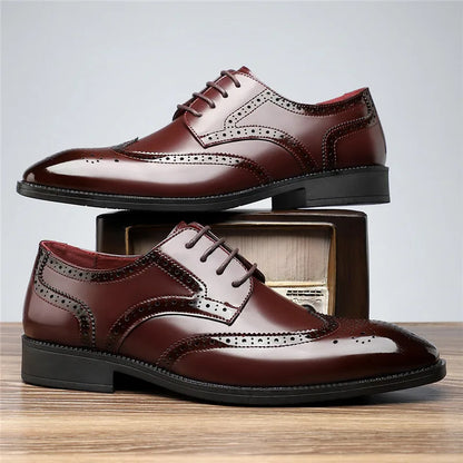 Aurello - Leather Brogue Oxfords